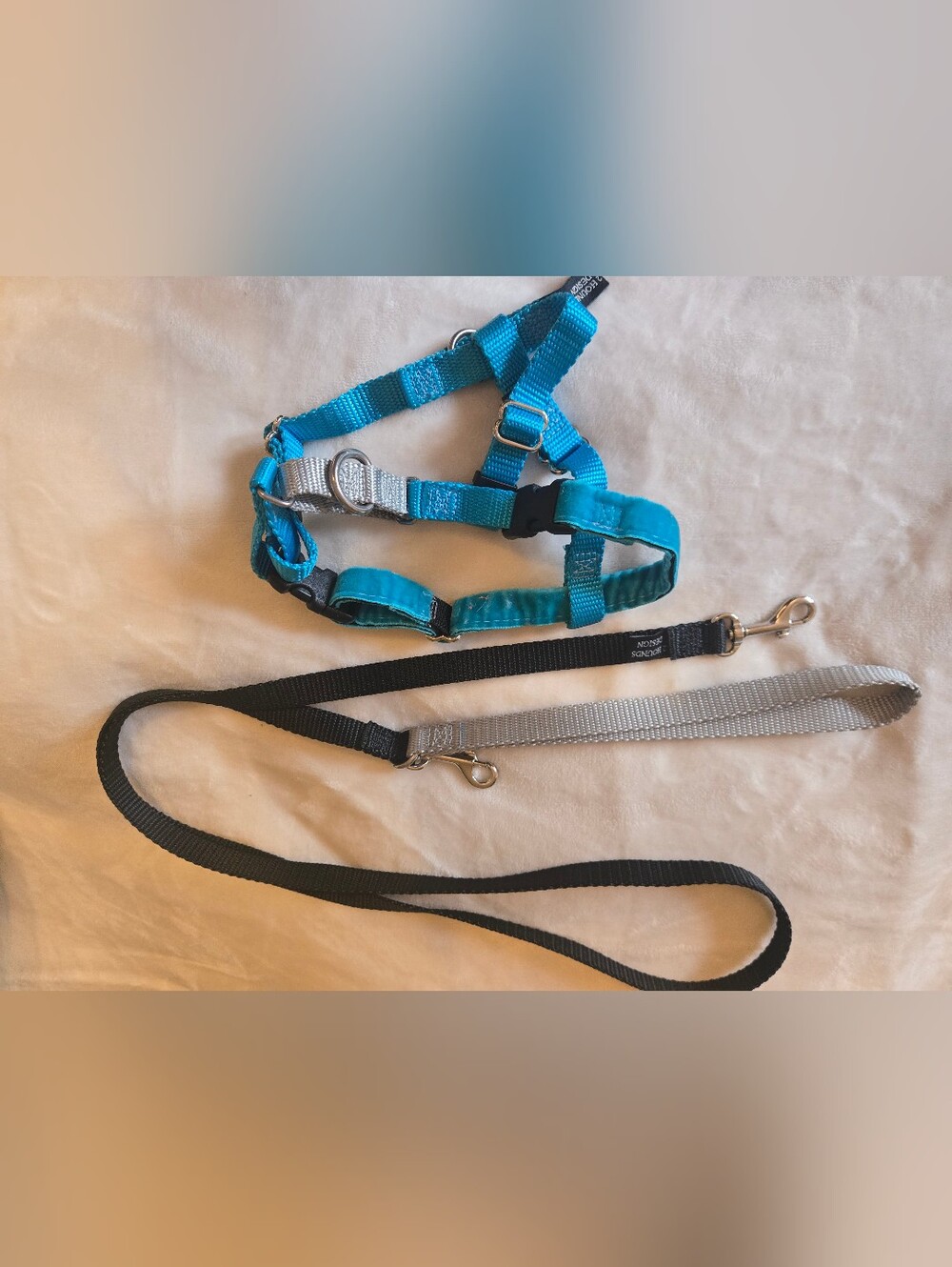 2 Hounds No Pull Harness And Leash